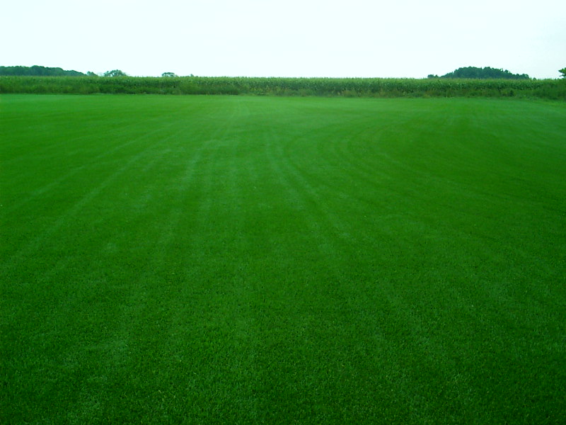 A Keller Turf Farms, LTD offers Premium Sod